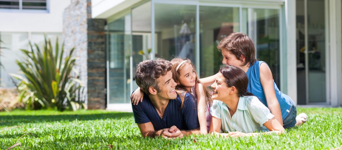 whole home generator summer